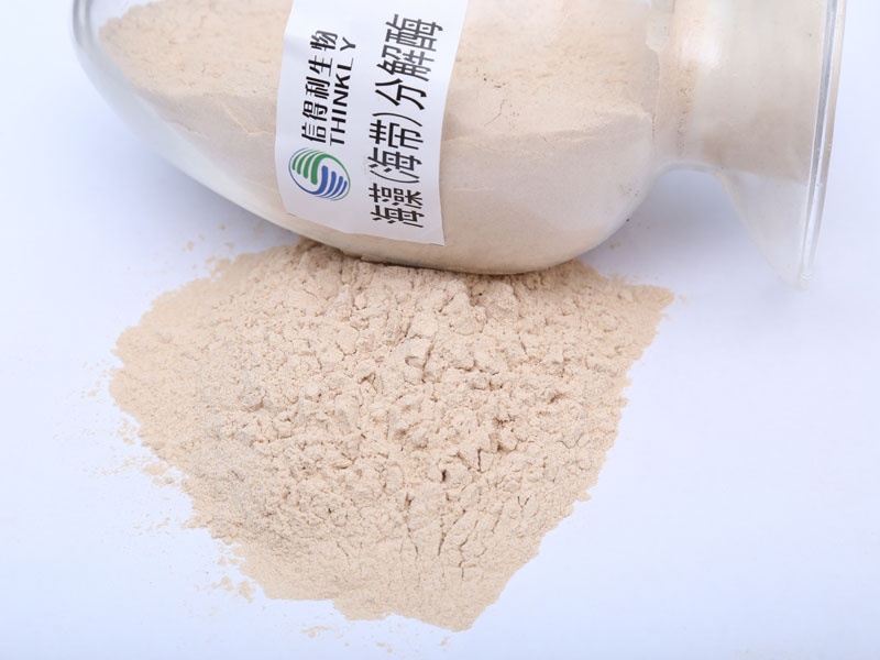 公司自主研發海藻海帶專用酶得到客戶一致好評