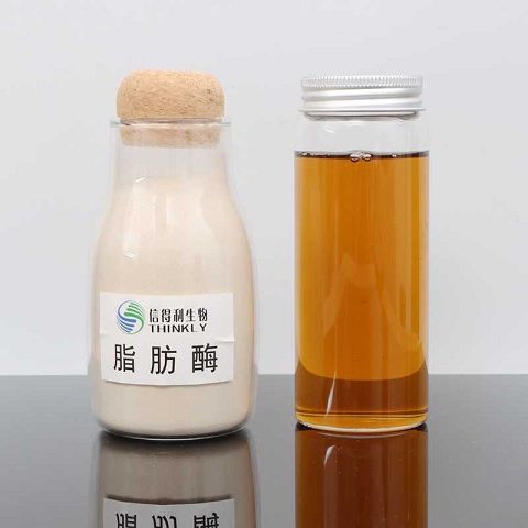 脂肪酶，你用對了嗎？